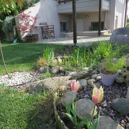 Guesthouse With Garden Komotini Zewnętrze zdjęcie